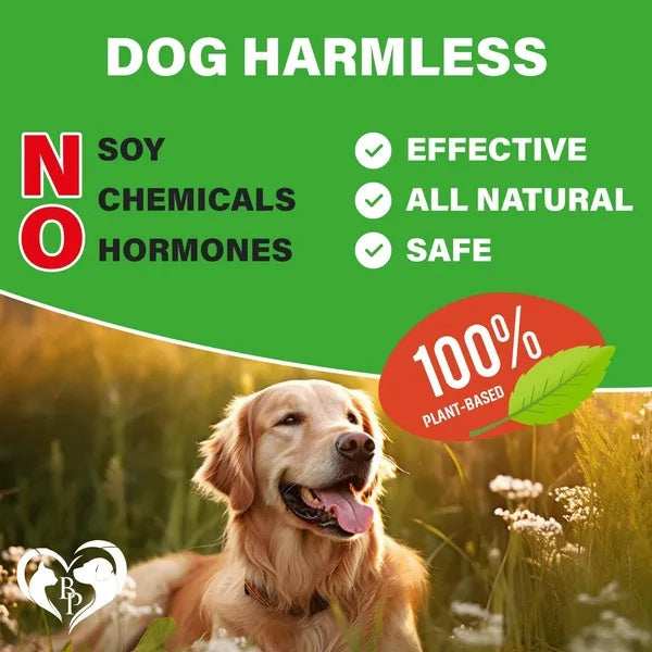 Dog Hip Joint Supplement - Glucosamine Chondroitin Arthritis Relief