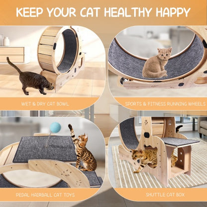 Cat Exercise Wheel Wooden - Silent 6-in-1 Indoor Cat Gym