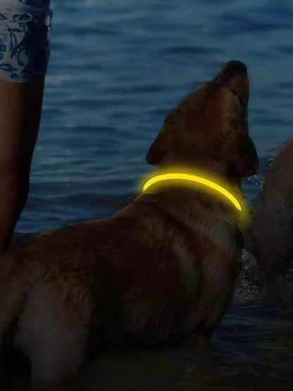 USB Rechargeable Cuttable Full Glow LED Pet Collar for Night Anti-Lost