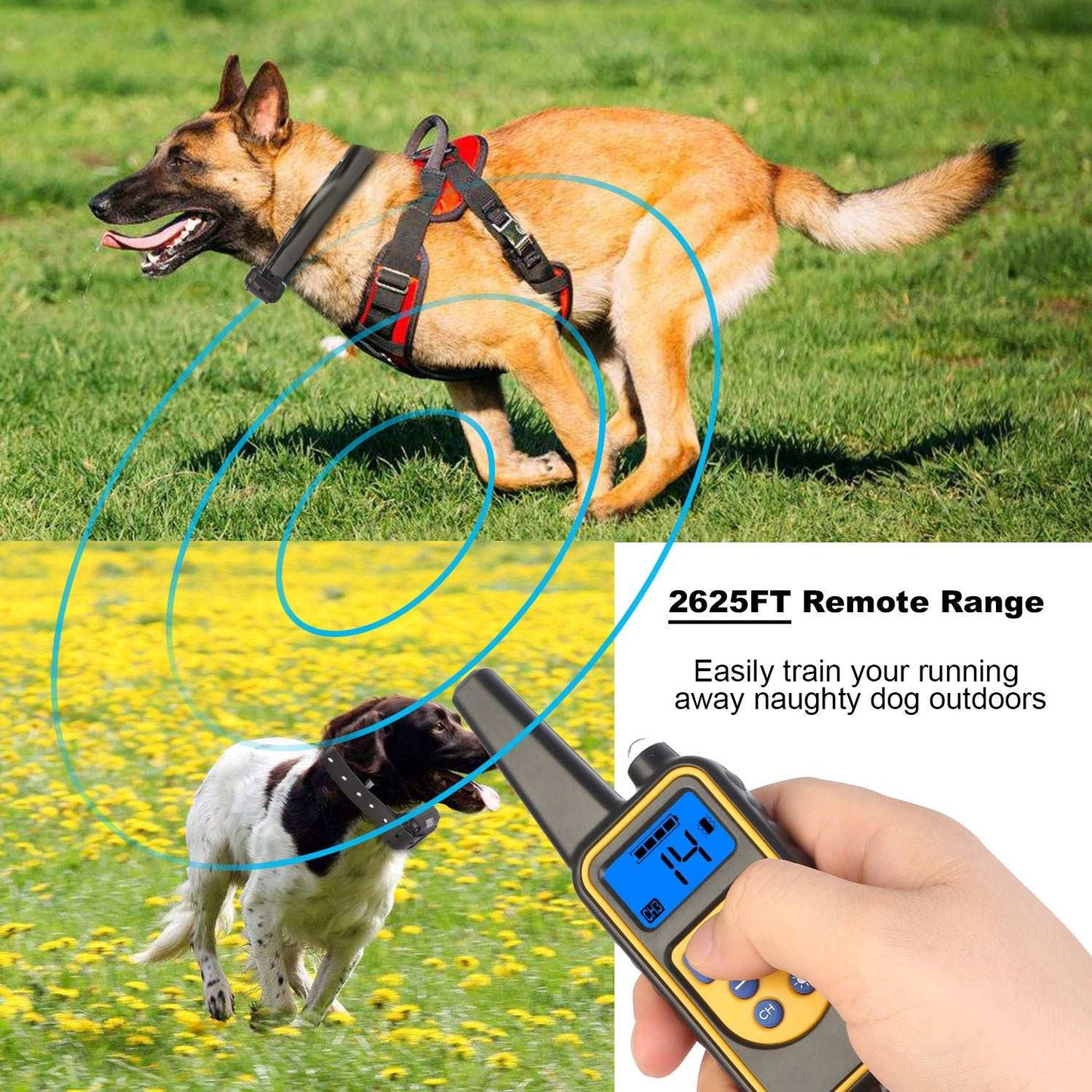 Dog Training Collar With Remote IP67 Waterproof Pet Trainer 300mAh Rechargeable 875 Yard Remote Control 4 Modes Adjustable Level