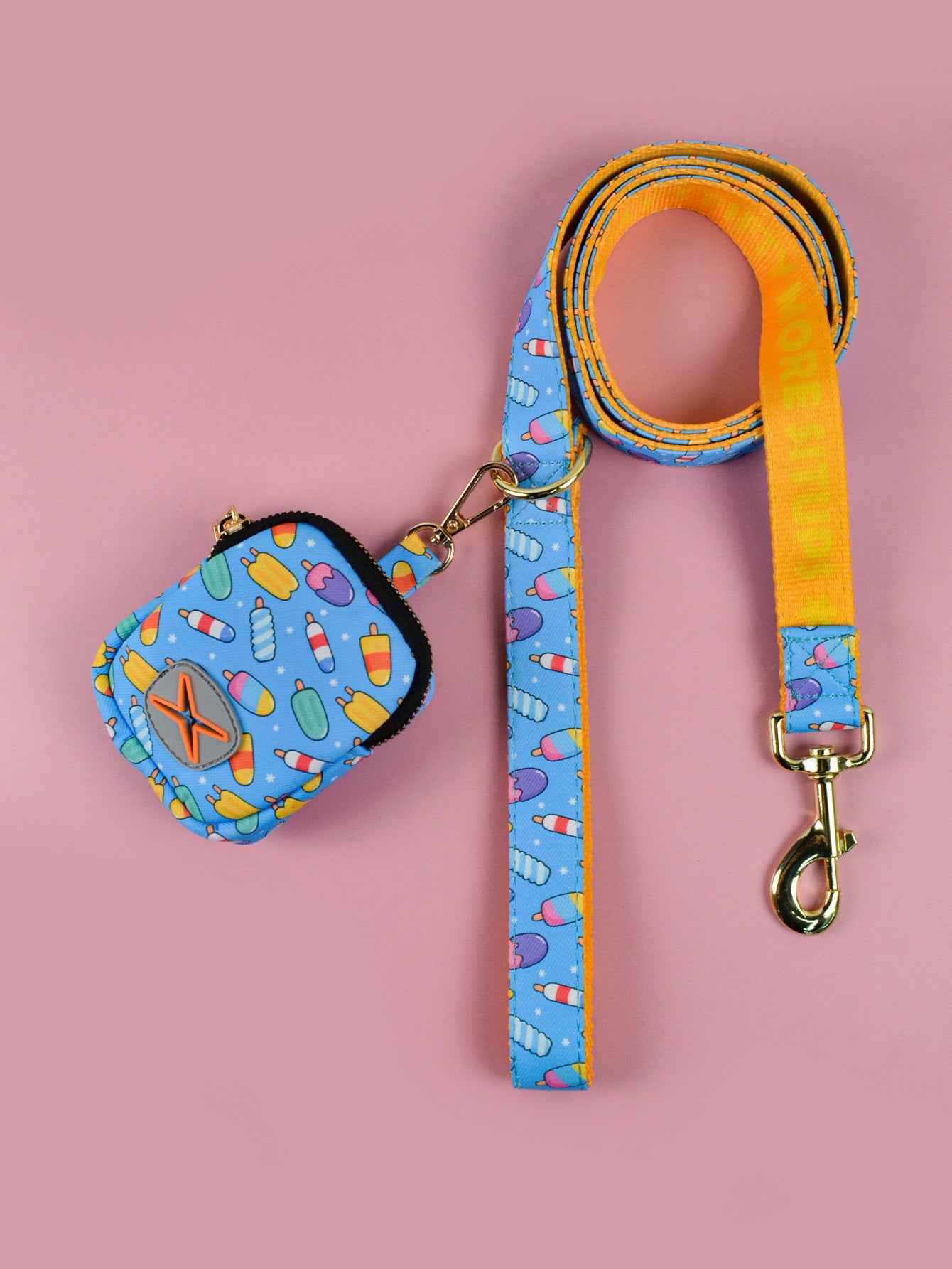 Dog Leash with Poop Bag Holder - Matching Set - Purrfect Pet Haven