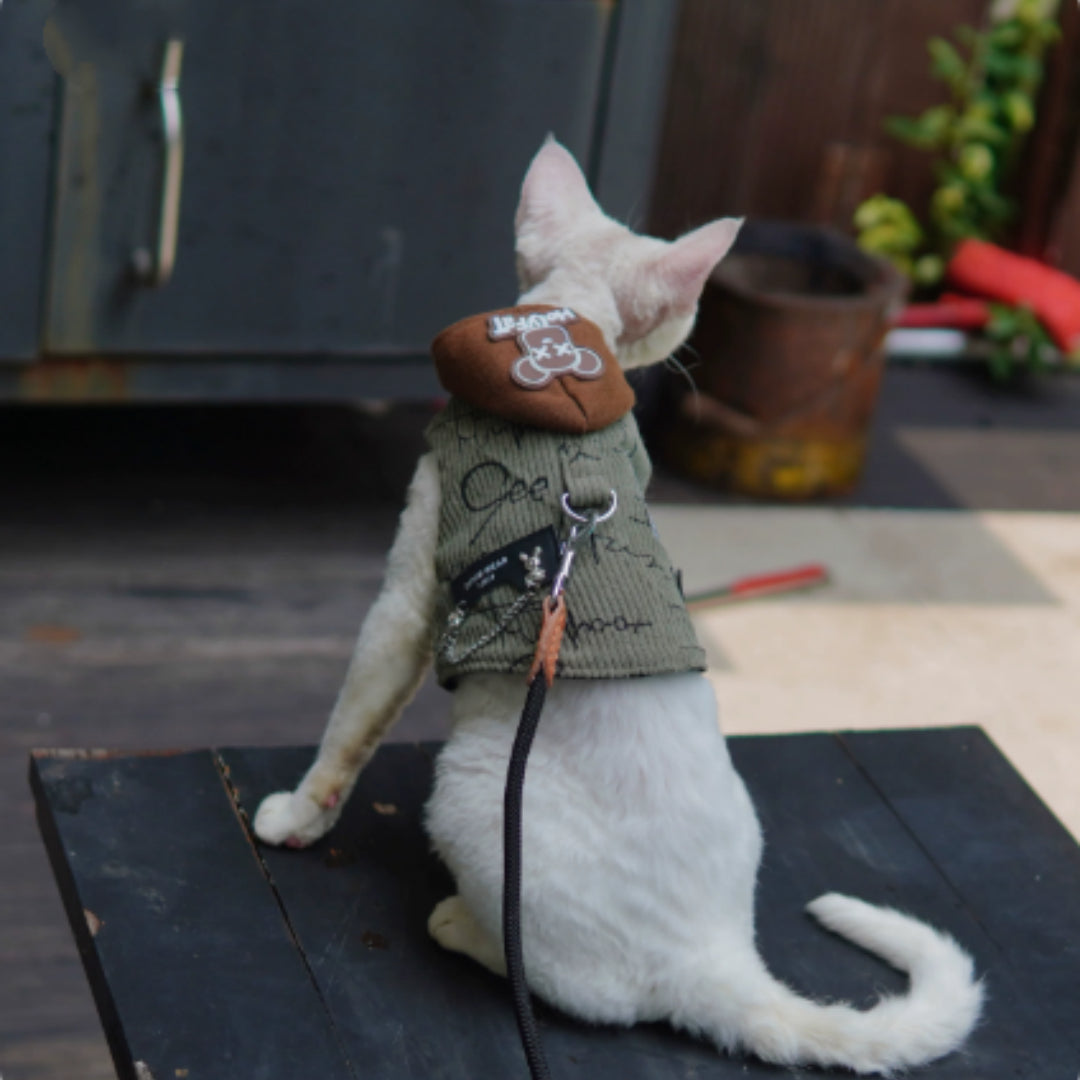 Cat wearing a sweater with a brown bag on a wooden surface