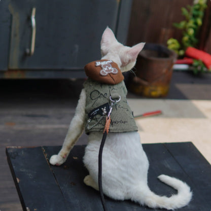 Cat wearing a sweater with a brown bag on a wooden surface