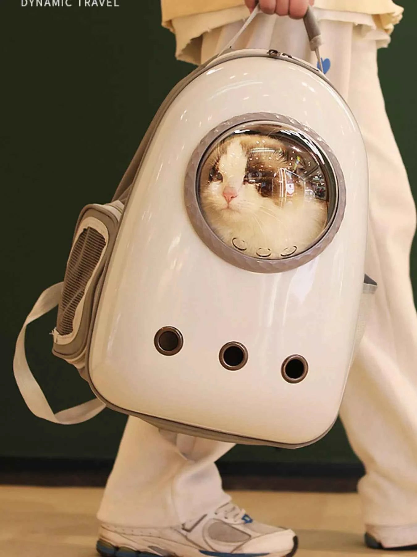 Space Capsule Transparent Pet Carrier Backpack
