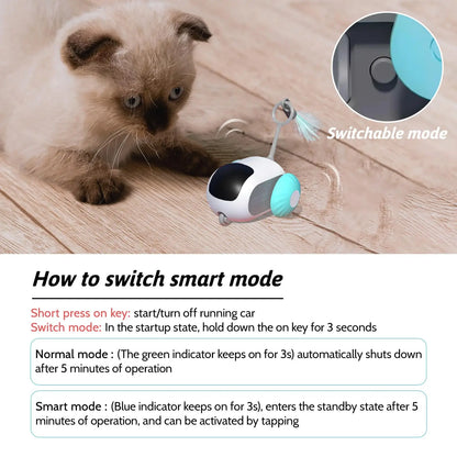Automatic Moving Car Remote Controlled Smart Pet Toy - Interactive Playing