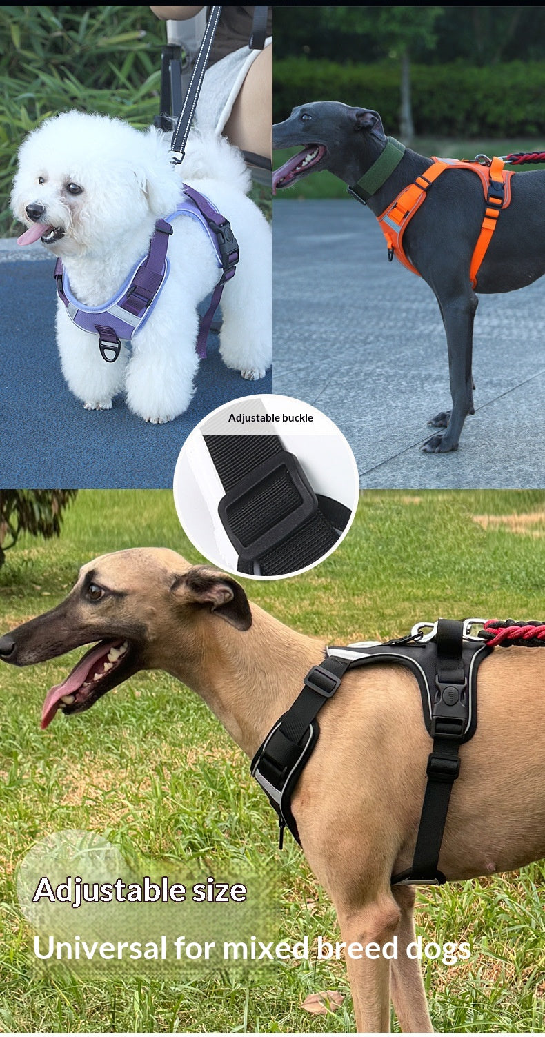 Dog Harness - Large Chest Style with Leash