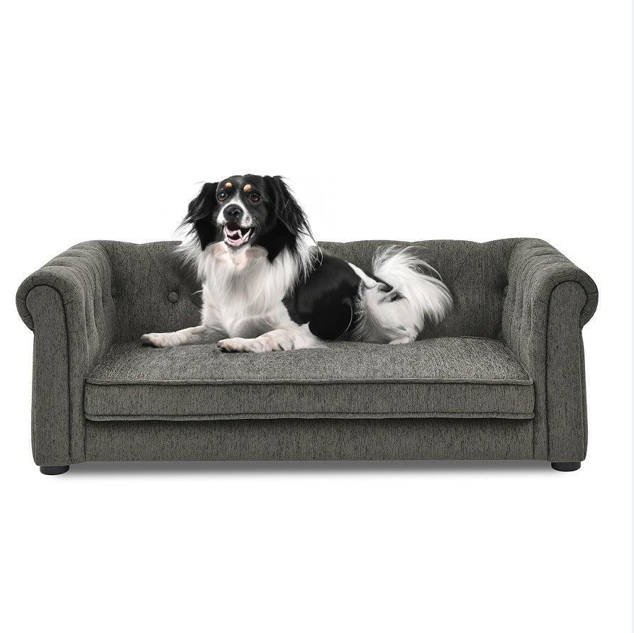 Elevated Dog Sofa Bed - Modern Furniture for Large Dogs
