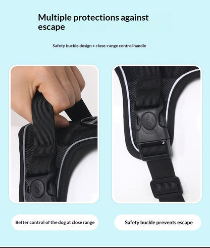 Dog Harness - Large Chest Style with Leash