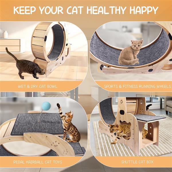 Cat products including a wet & dry cat bowl, sports & fitness running wheels, pedal hairball cat toys, and a shuttle cat box on a beige background.