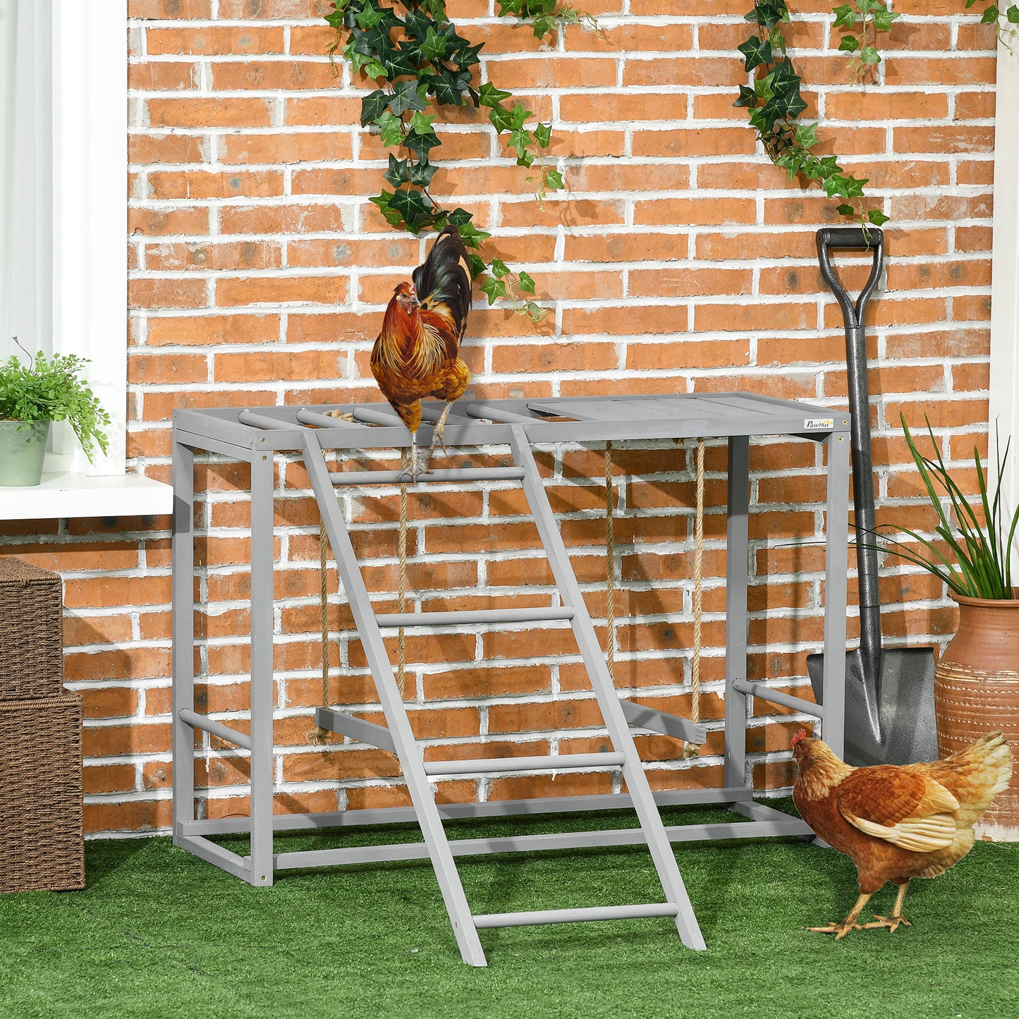 Chicken Activity Playground - Swings & Perches for 3-4 Hens