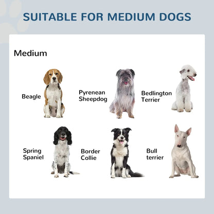 Elevated Dog Bowls - Stainless Steel Raised Feeding Station - Purrfect Pet Haven