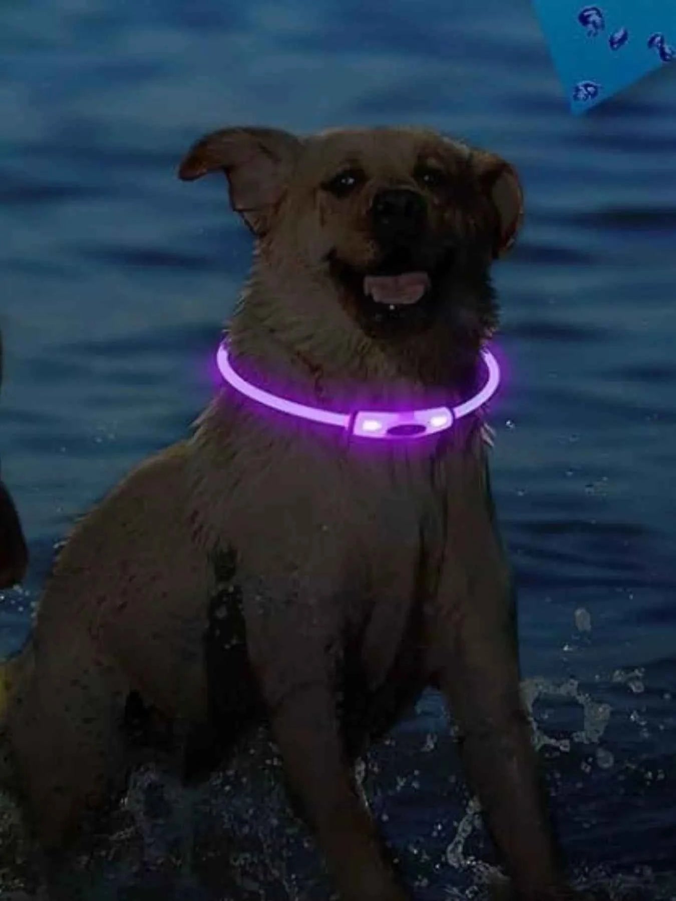 USB Rechargeable Cuttable Full Glow LED Pet Collar for Night Anti-Lost