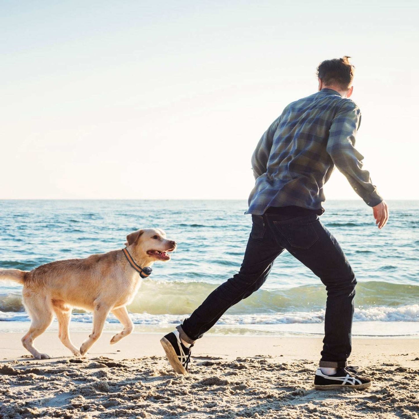 Dog GPS Tracker & Fence - 2-in-1 Wireless Boundary System
