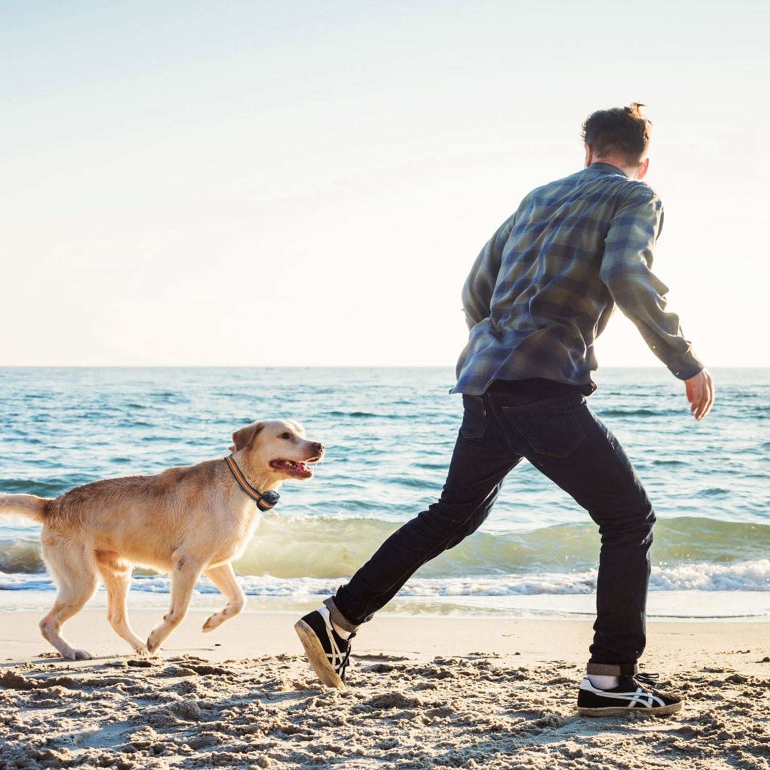 Dog GPS Tracker & Fence - 2-in-1 Wireless Boundary System - Purrfect Pet Haven