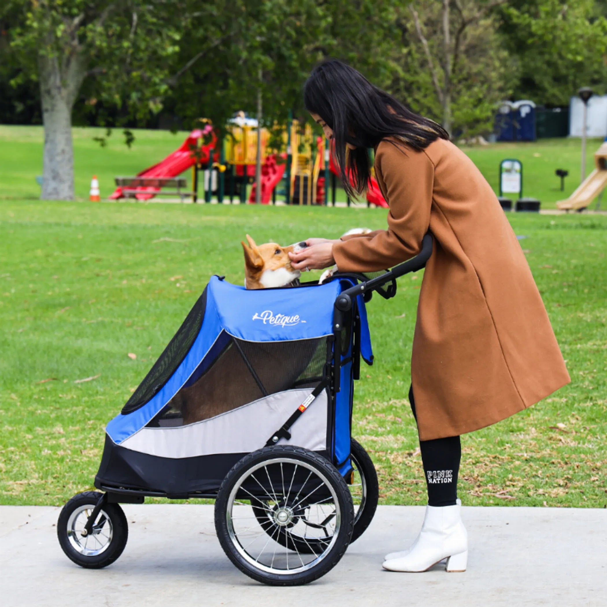 Trailblazer Pet Jogger | Purrfect Pet Haven