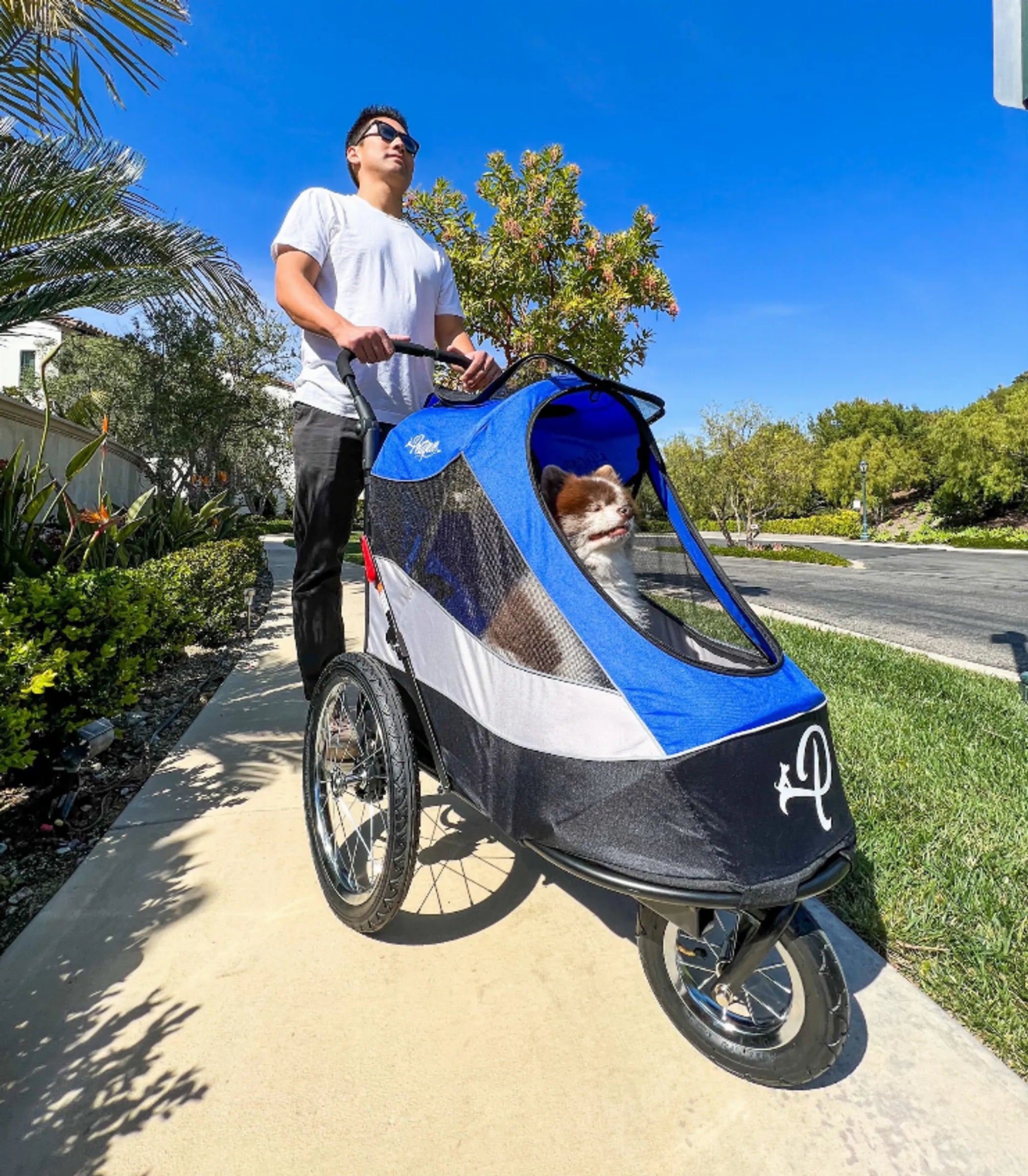 Trailblazer Pet Jogger | Purrfect Pet Haven