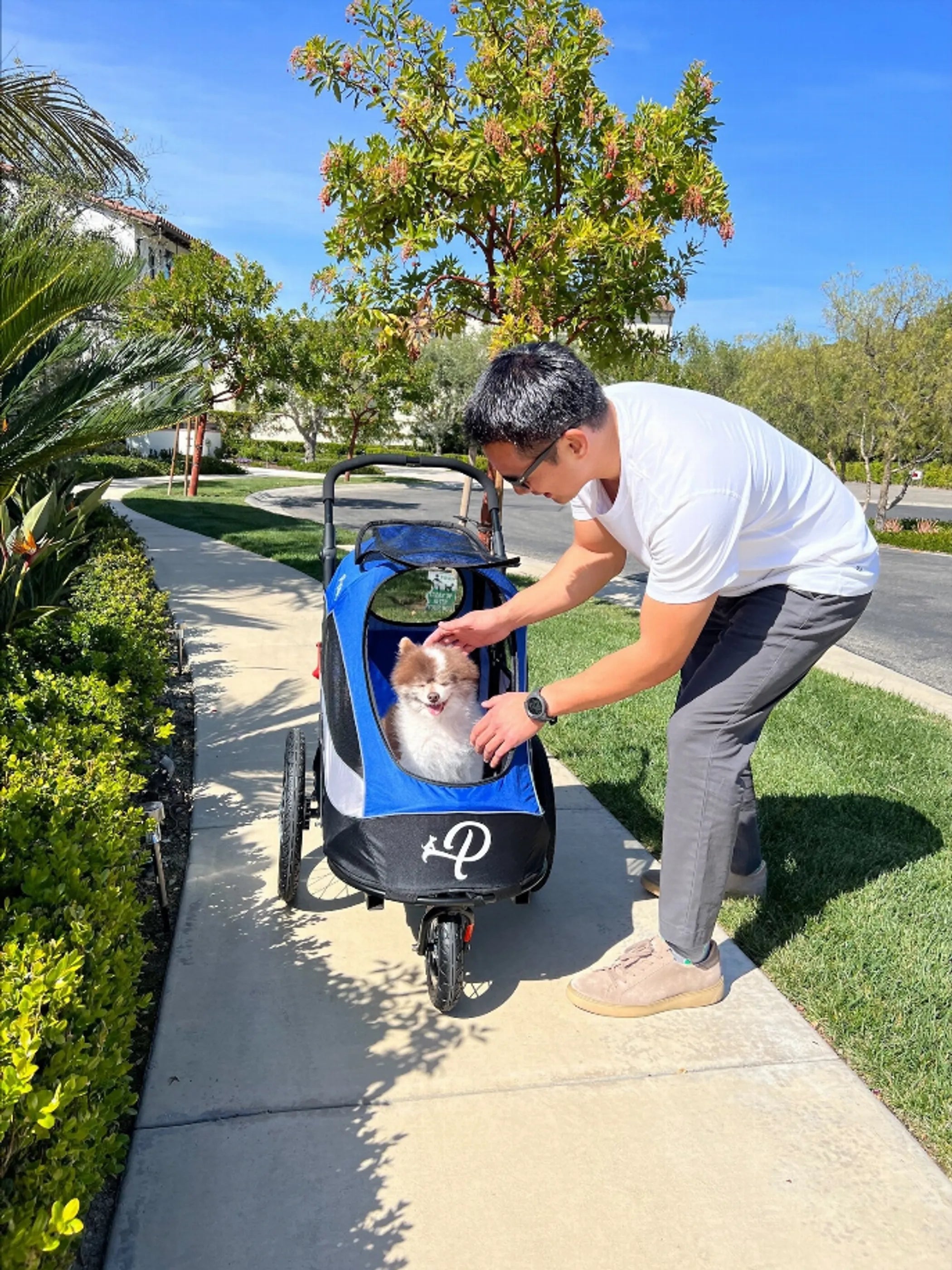 Trailblazer Pet Jogger | Purrfect Pet Haven
