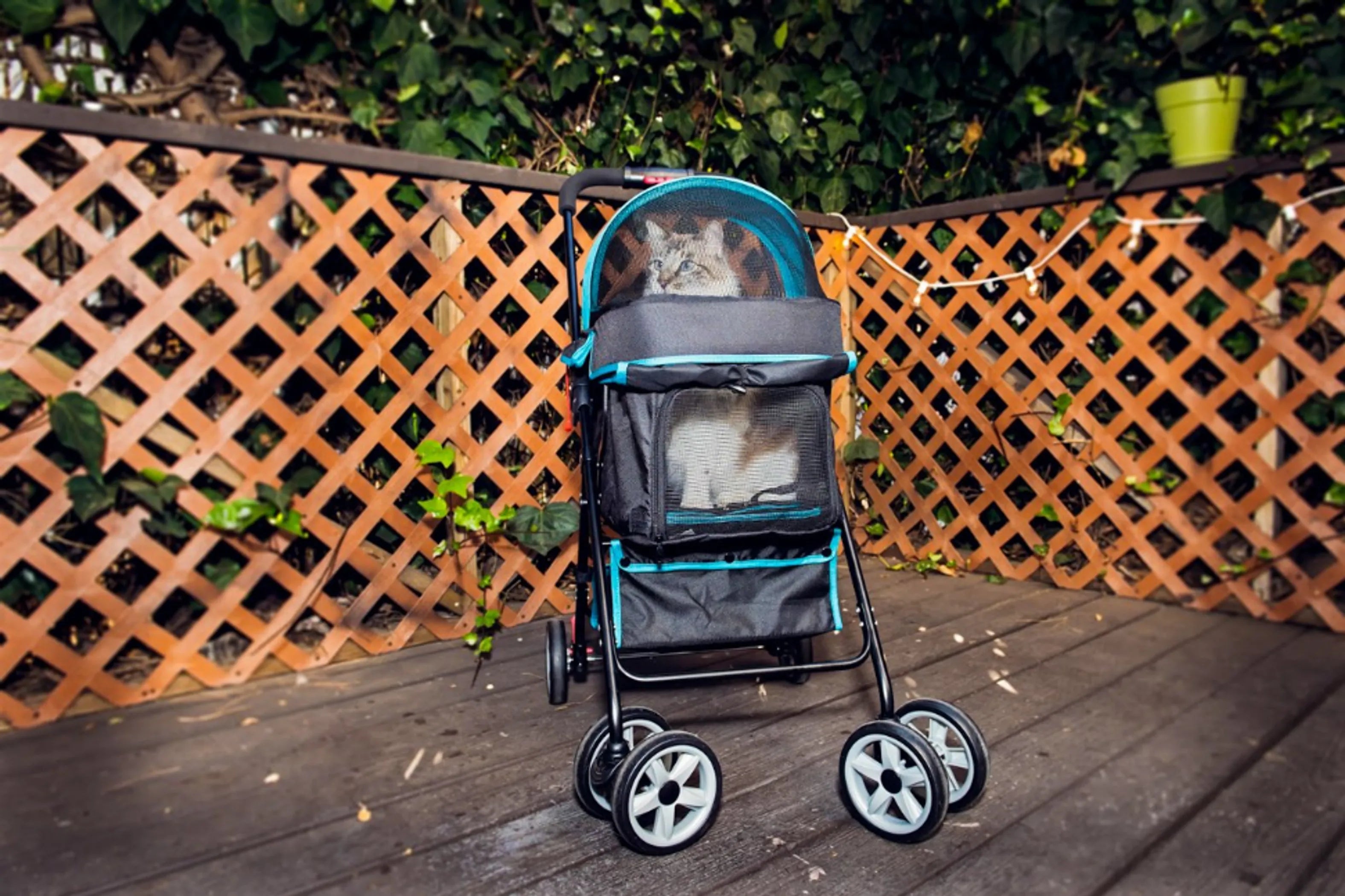 Petique's Swift Pet Stroller with Storage Basket | Purrfect Pet Haven