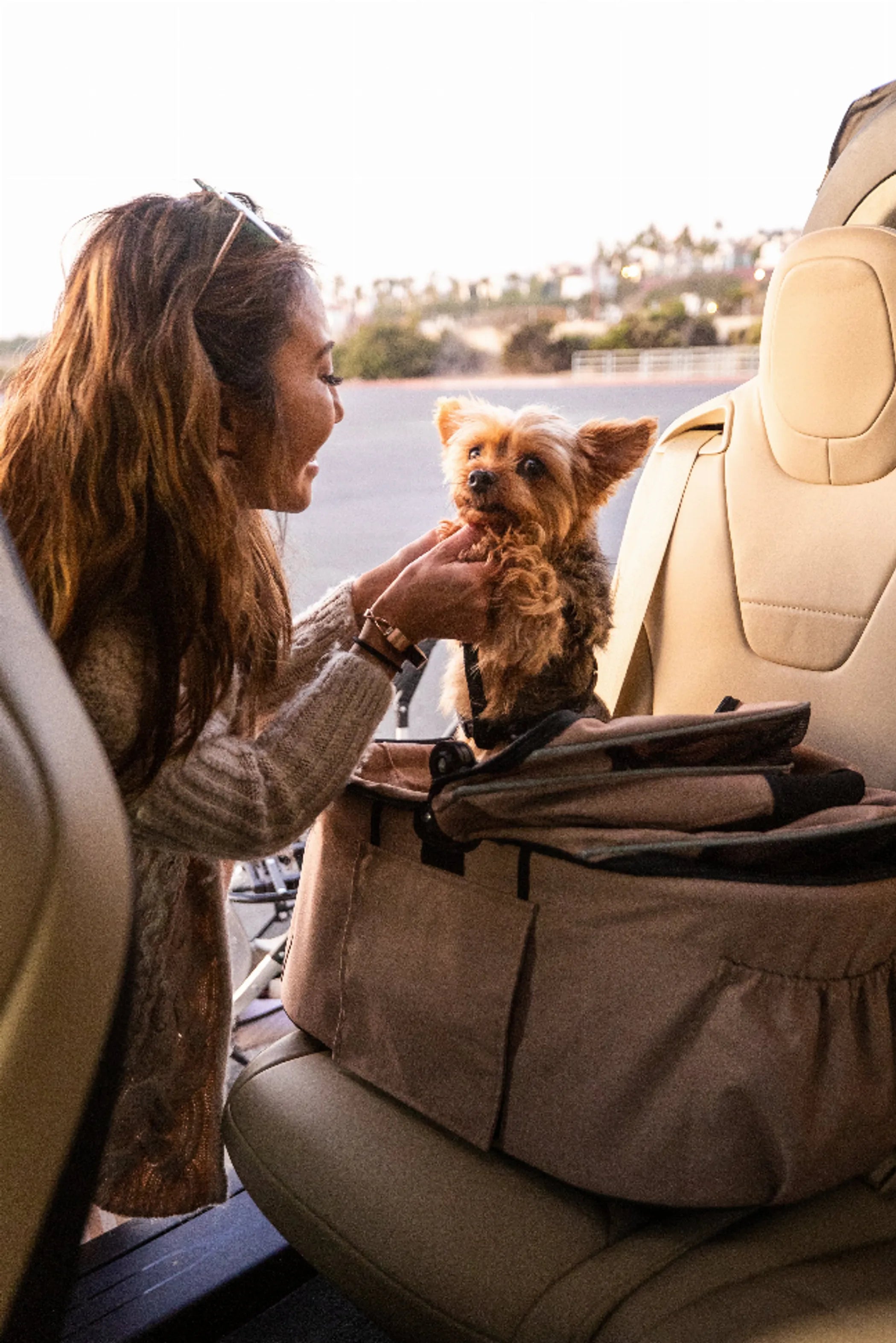 Newport Pet Stroller (3-in-1 Travel System) | Purrfect Pet Haven