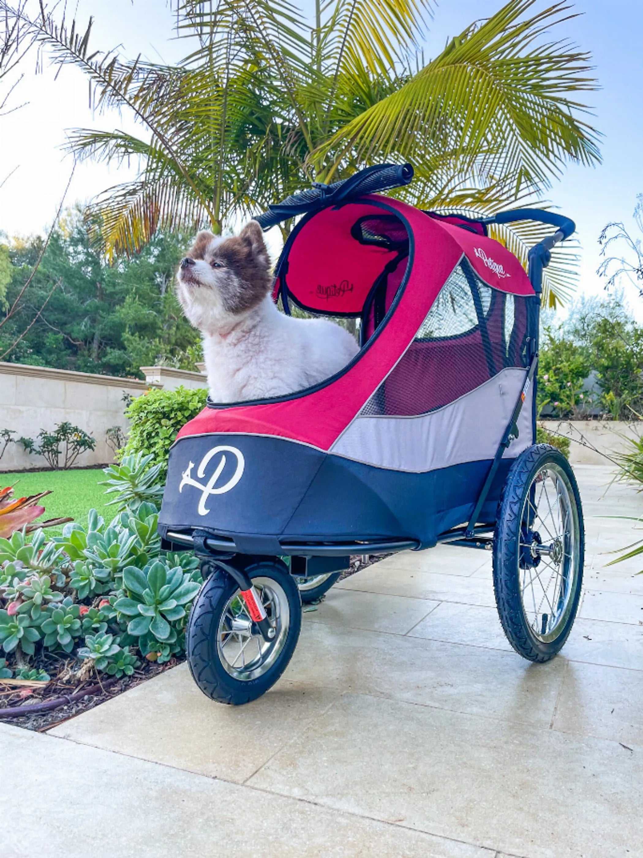 Trailblazer Pet Jogger | Purrfect Pet Haven