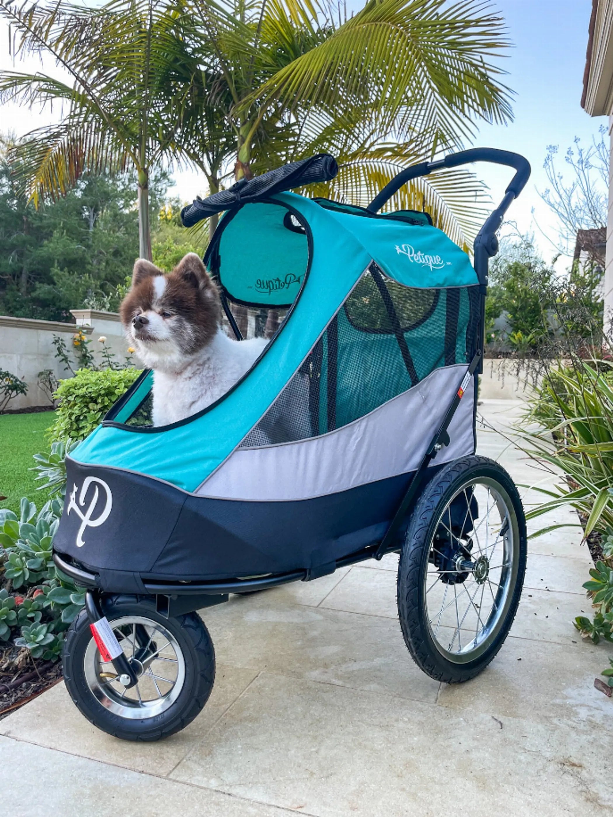 Trailblazer Pet Jogger | Purrfect Pet Haven