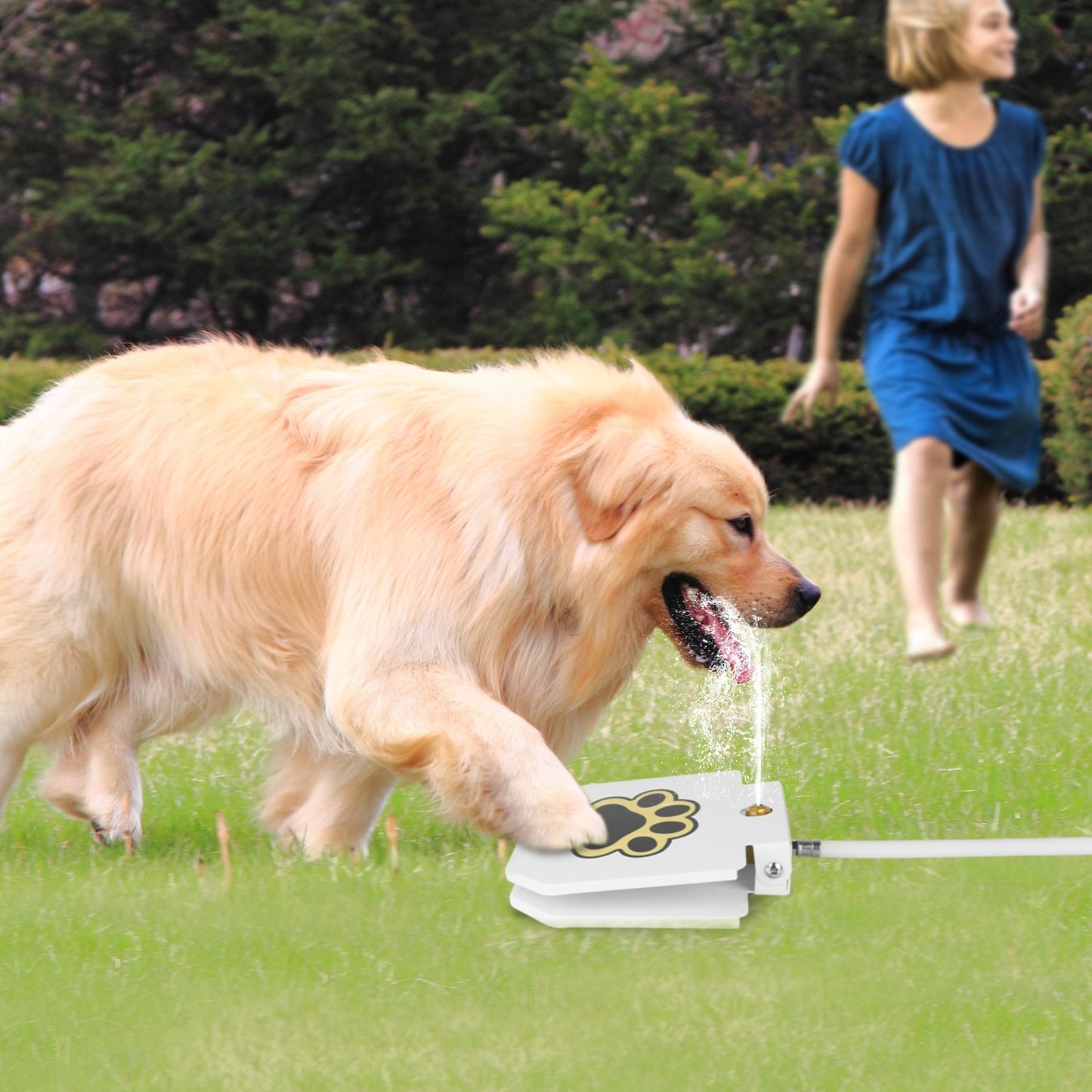 Outdoor Dog Water Fountain - Step-Activated Paw Pedal Dispenser