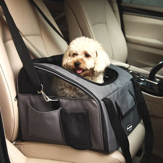 Dog in a pet carrier inside a car