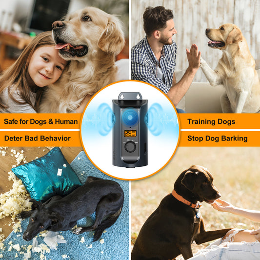 Dog training device with images of a girl, man, and dogs interacting with it.