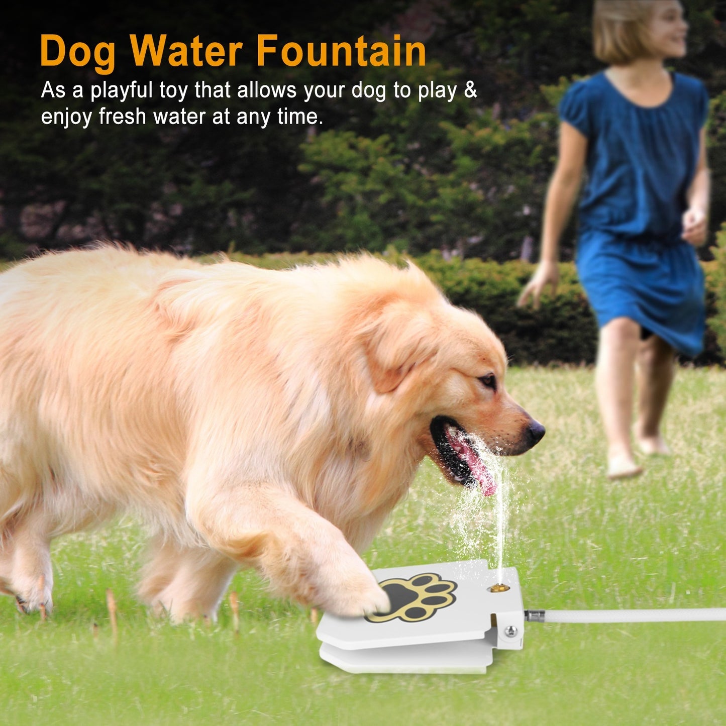 Outdoor Dog Water Fountain - Step-Activated Paw Pedal Dispenser