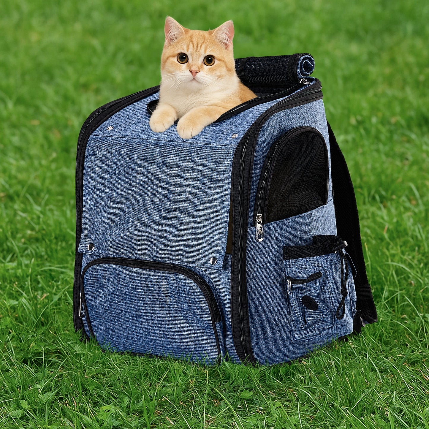 Adventure Pack Carrier - Expandable Backpack for Cats & Dogs - Purrfect Pet Haven
