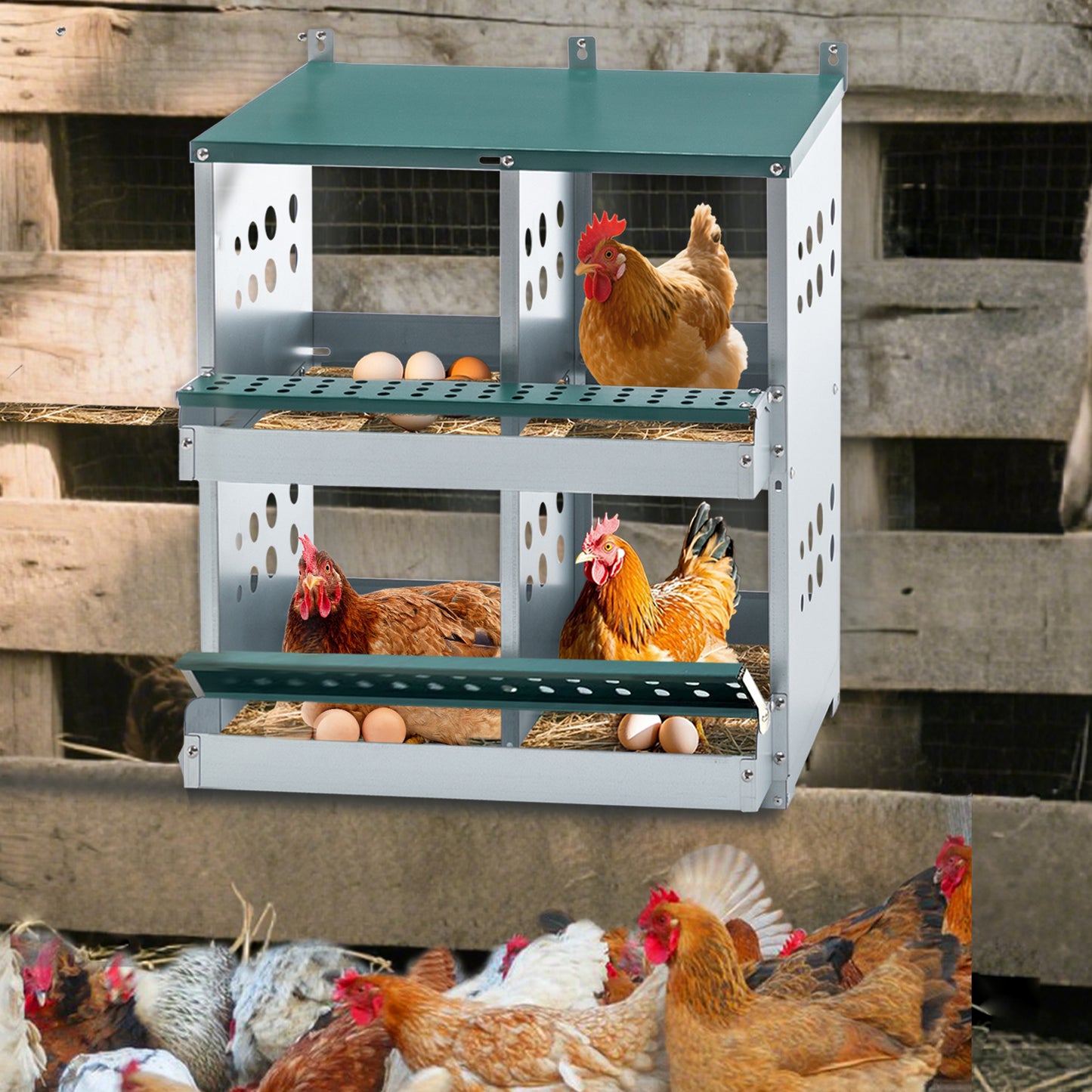 4-Compartment Metal Chicken Nesting Box - Wall Mount