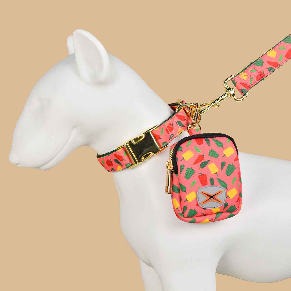 Dog Leash with Poop Bag Holder - Matching Set - Purrfect Pet Haven