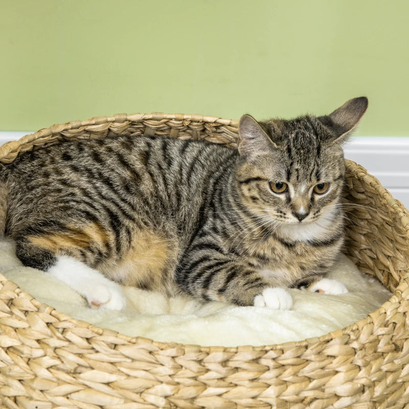 Cat Tree - Small Basket Bed with Scratching Post & Toy - Purrfect Pet Haven