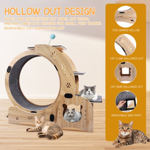 Cat Exercise Wheel Wooden - Silent 6-in-1 Indoor Cat Gym