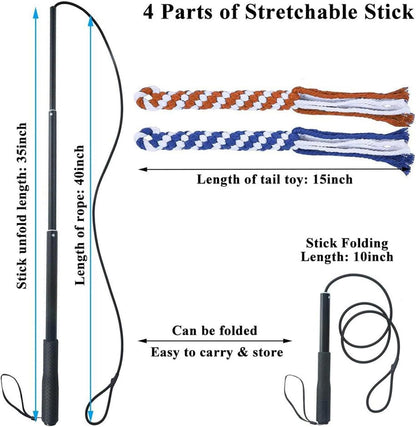 Dog Flirt Pole - Extendable Teaser Wand for Training