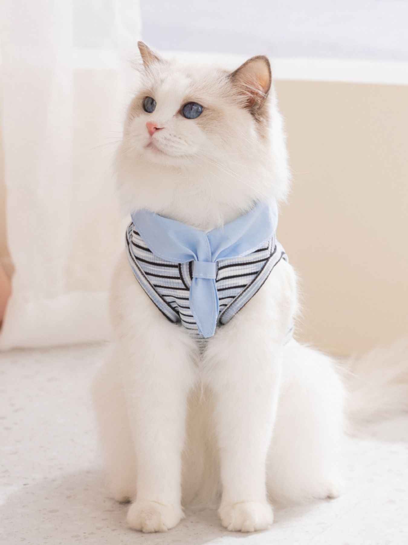 72711a73-2aea-40e6-94af-0164afc171bc-Max