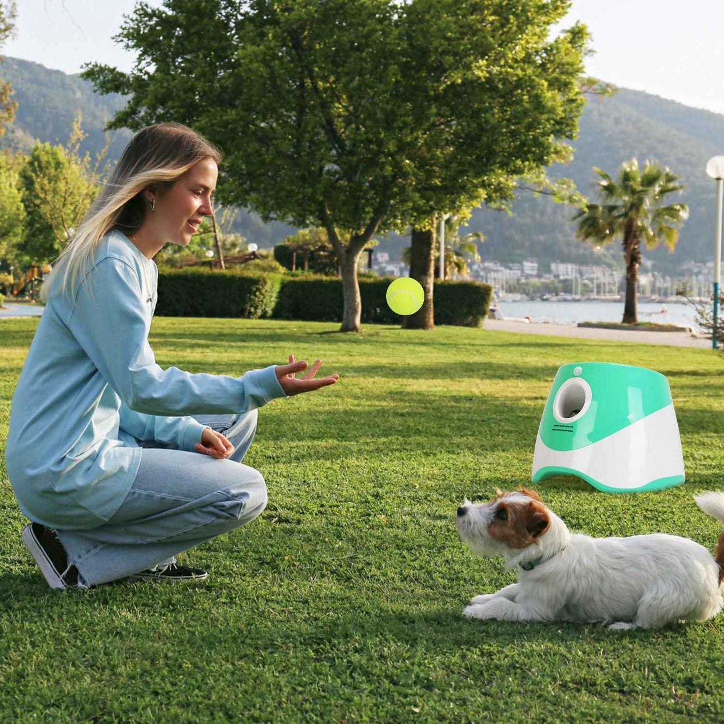 Automatic Dog Ball Launcher - Rechargeable Fetch Machine - Purrfect Pet Haven