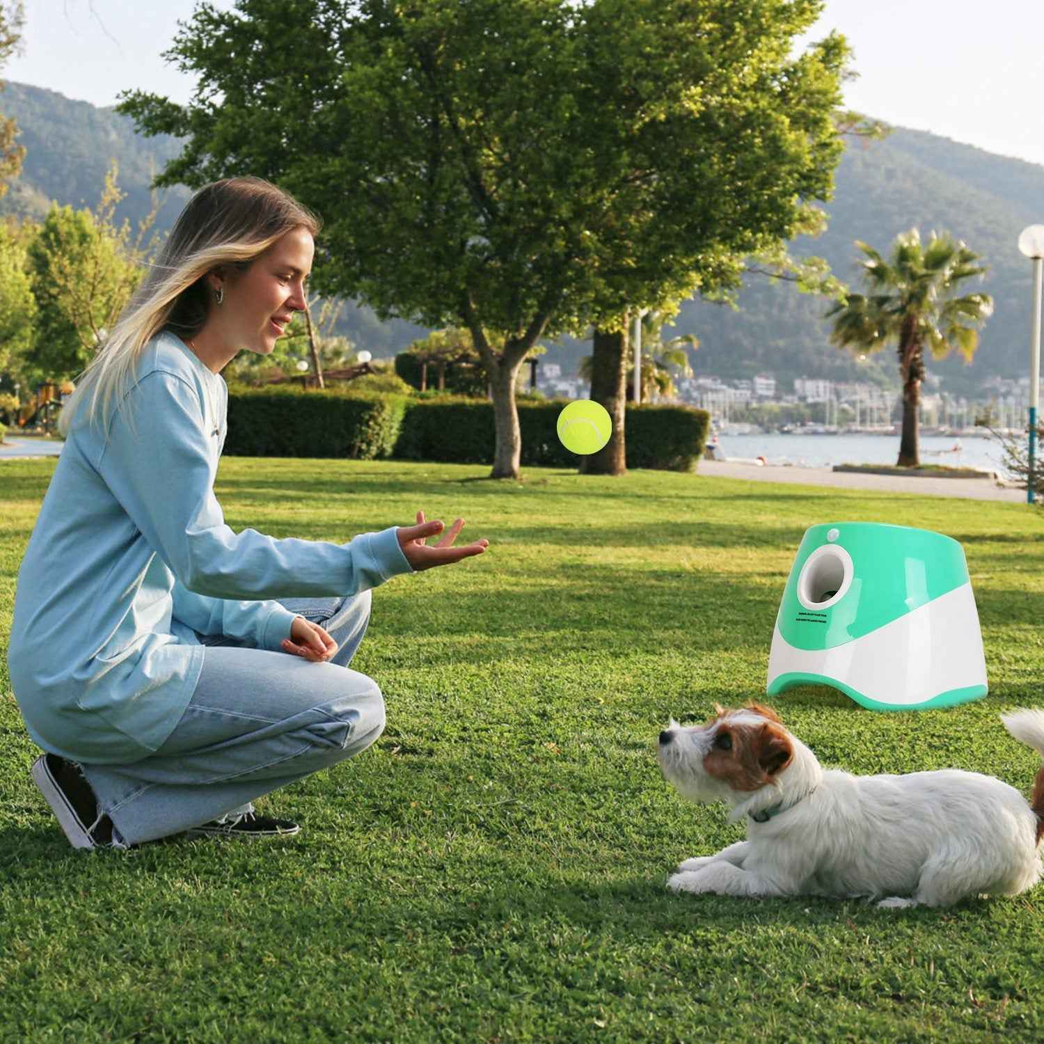 Automatic Dog Ball Launcher - Rechargeable Fetch Machine - Purrfect Pet Haven