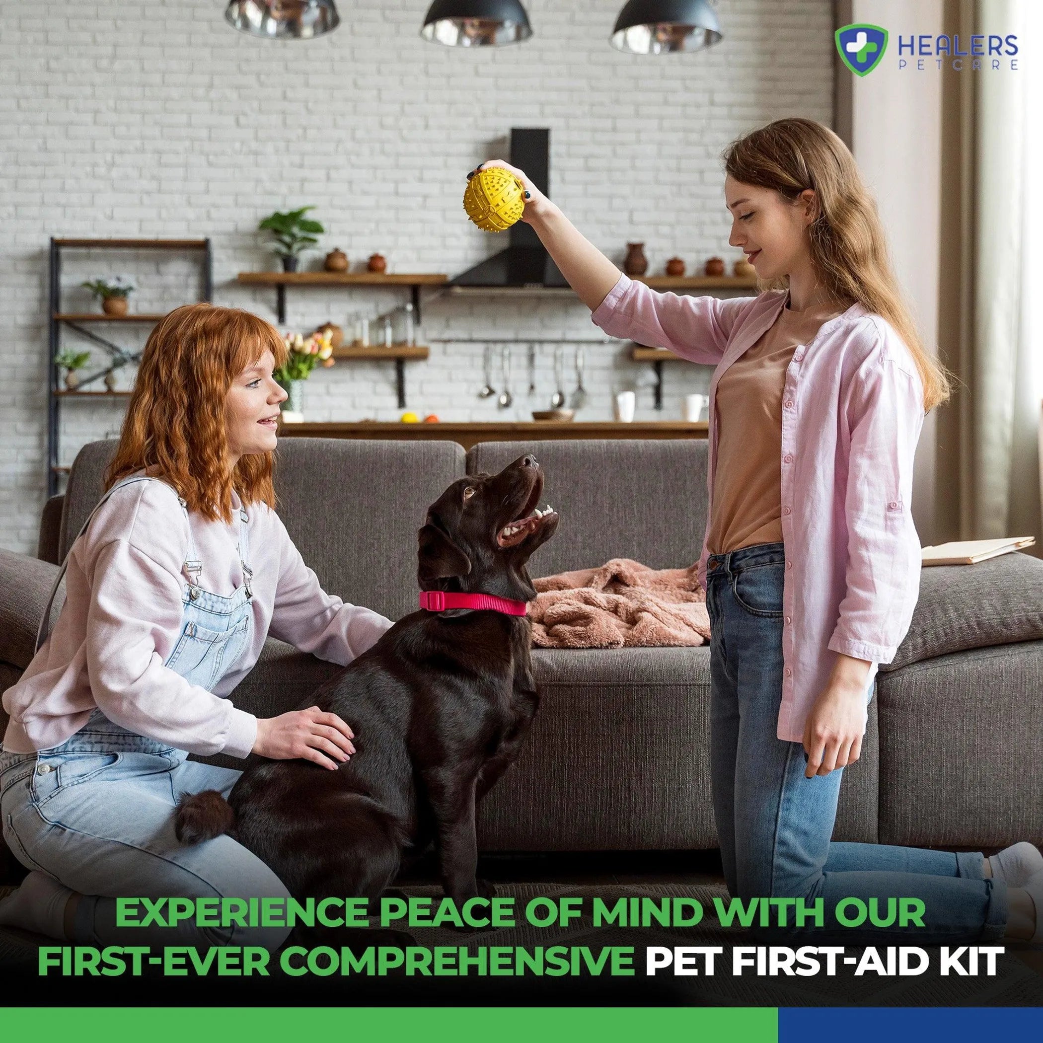 Healers Comprehensive First Aid Kit | Purrfect Pet Haven