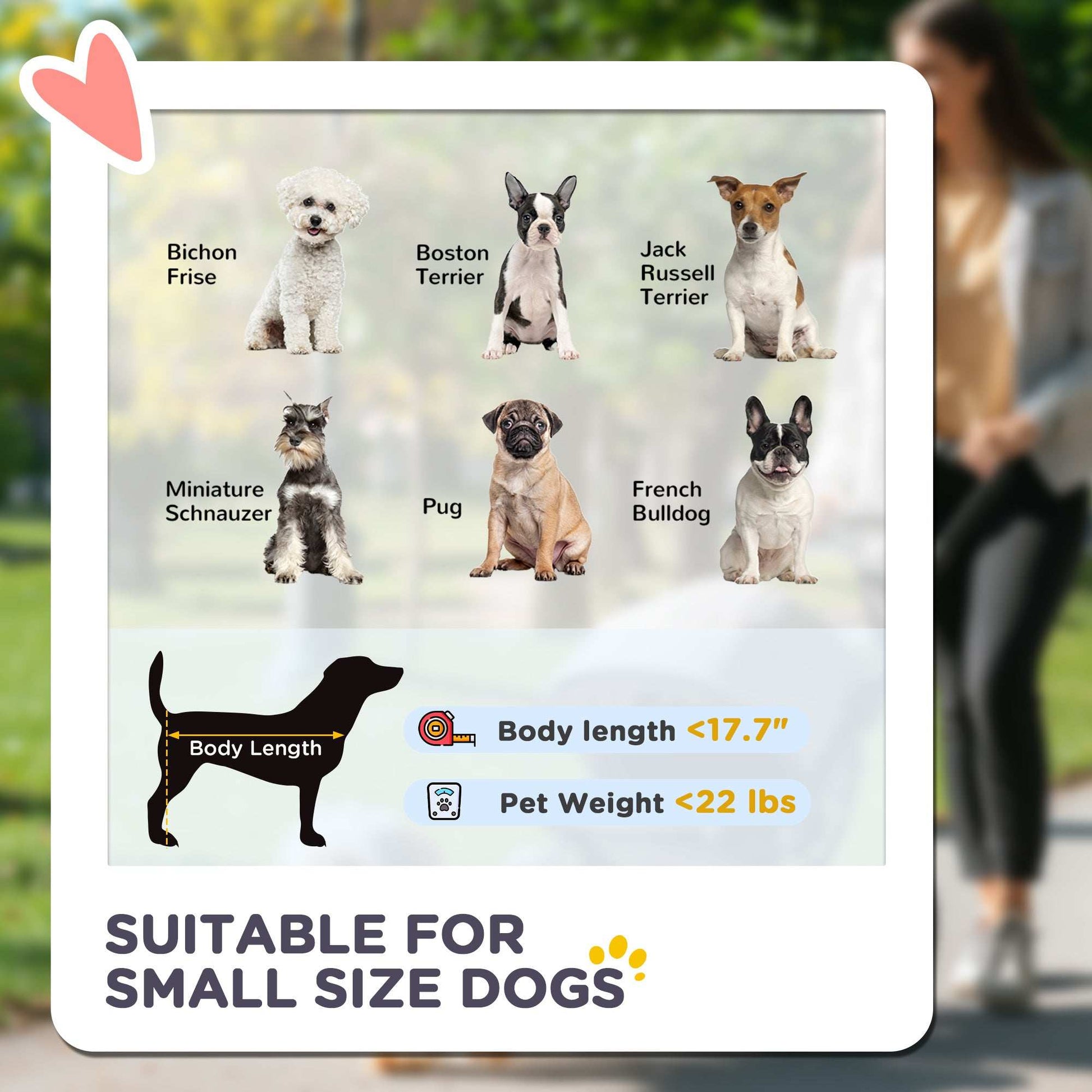 Small size dog suitability chart with images of various small dogs and a person walking in the background.