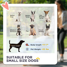 Small size dog suitability chart with images of various small dogs and a person walking in the background.