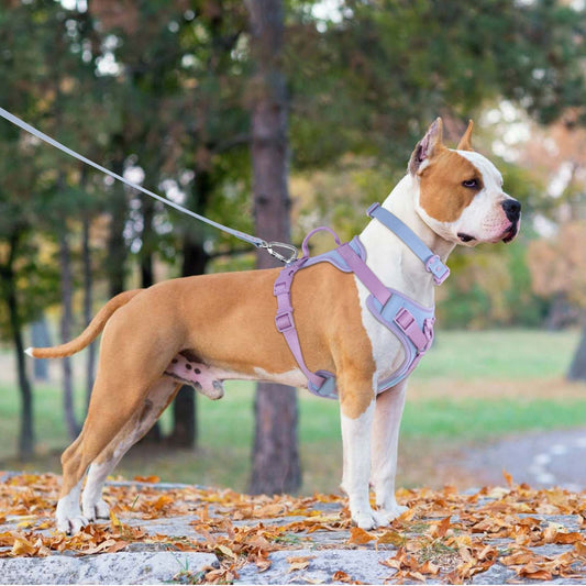 Dog Collar Harness Hand Holding and Rope Leash - Easy Control
