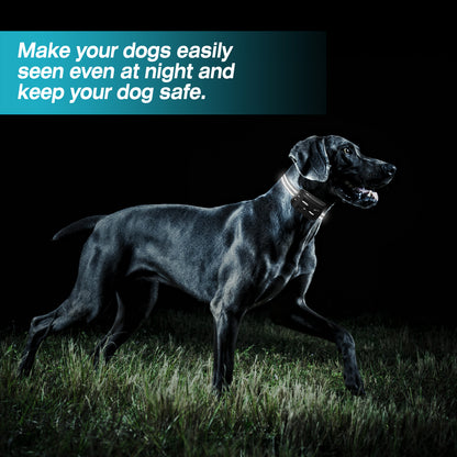 Dog Wireless Fence 2-in-1 - Training Collar System 2 Receivers