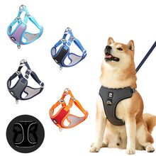 Reflective Mesh Harness - Breathable Dog Safety Vest