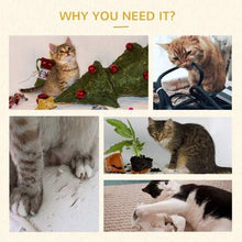 47 Inch Cat Tree Activity Center - Natural