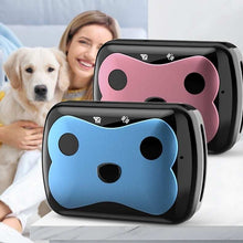 Two dog-shaped pillows, one pink and one blue, on a white surface with a blurred background of a person holding a dog.