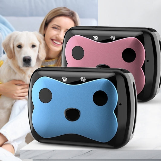 Two dog-shaped pillows, one pink and one blue, on a white surface with a blurred background of a person holding a dog.
