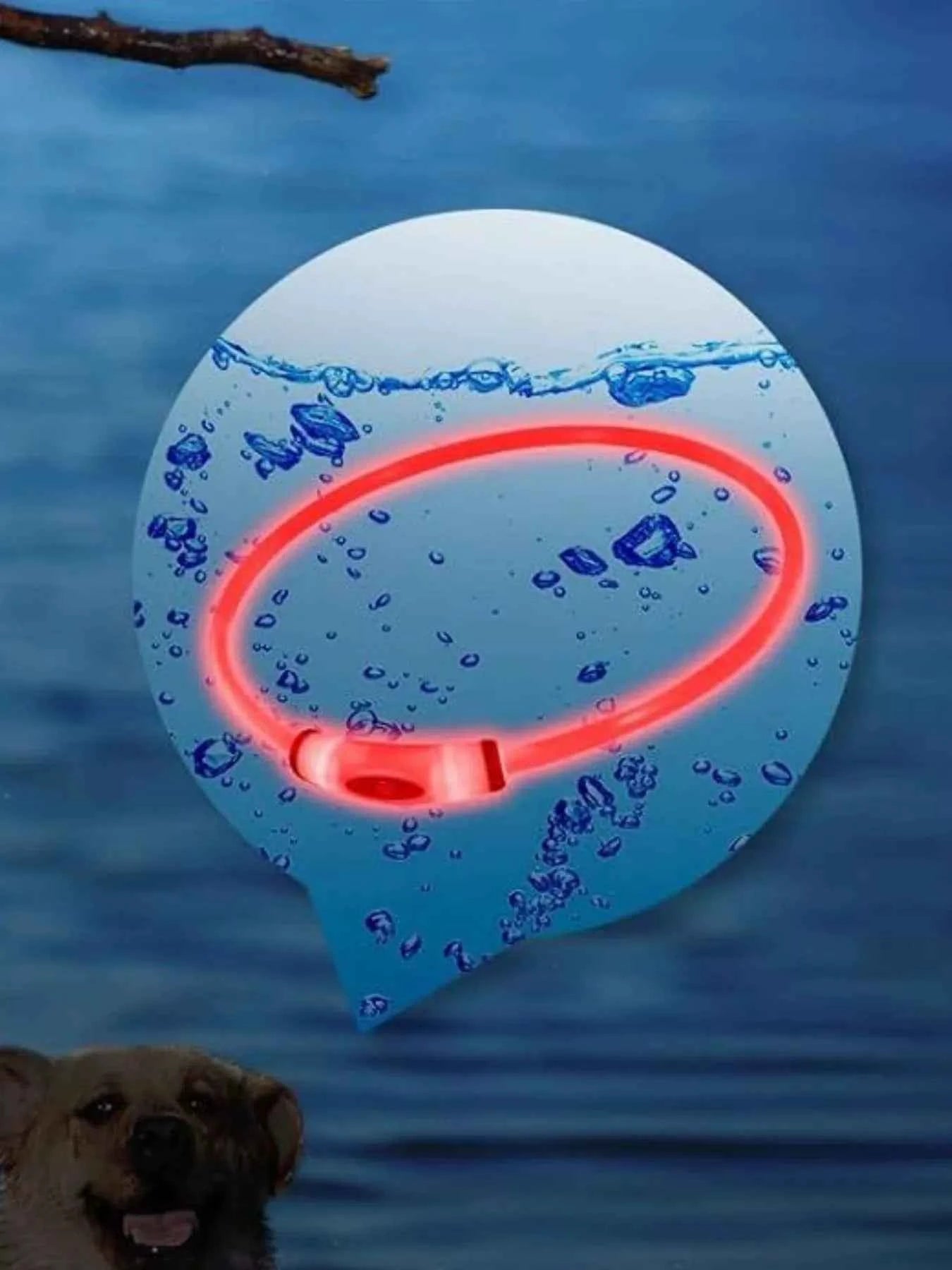 USB Rechargeable Cuttable Full Glow LED Pet Collar for Night Anti-Lost