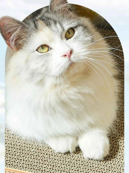 Cat Scratcher Nest - Unique Artistic Frame Look