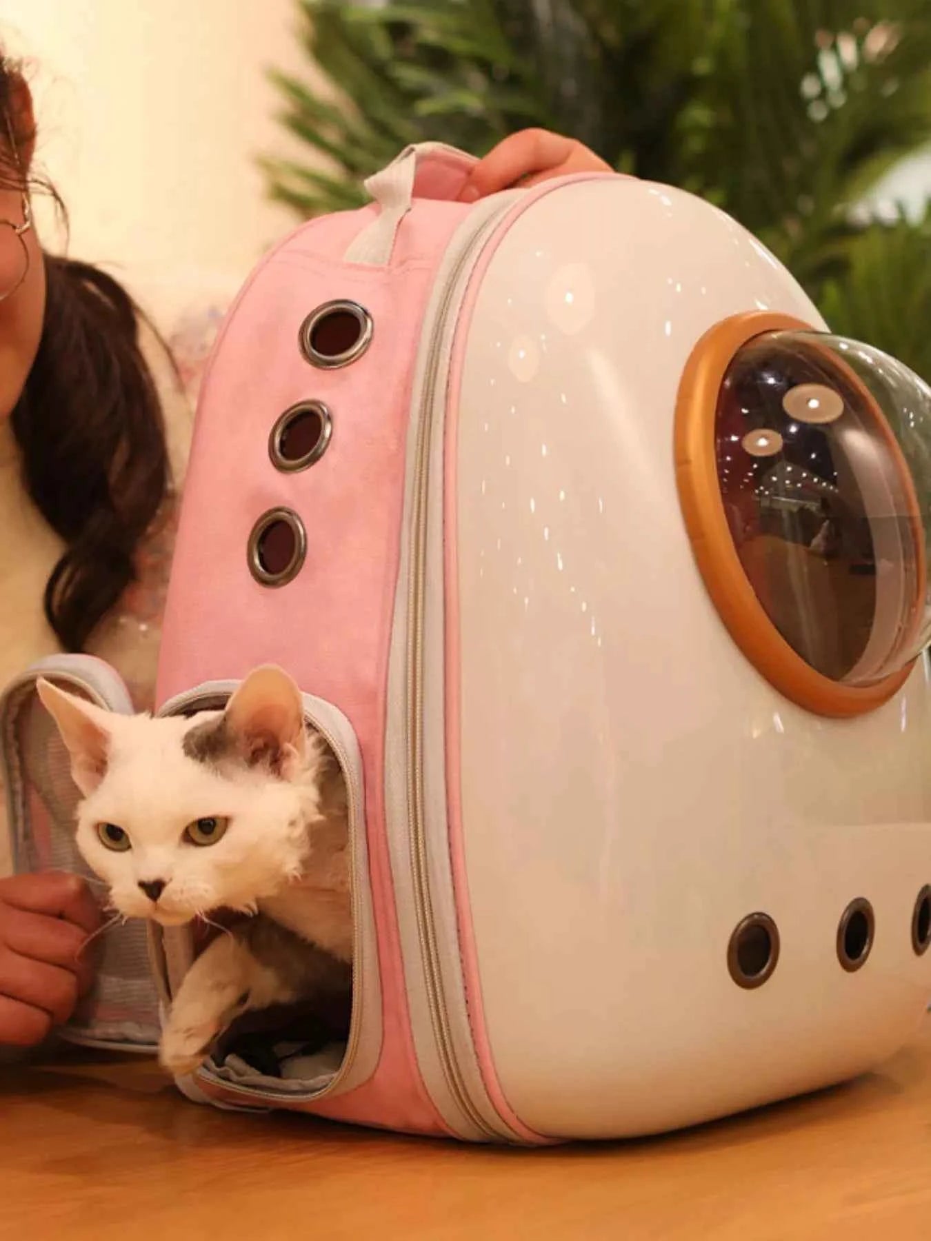 Space Capsule Transparent Pet Carrier Backpack
